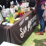 beer-wine-festival-313