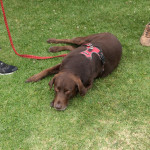 beer-wine-festival-023