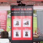beer-wine-festival-026