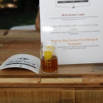lb_fest_091