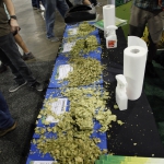 festival-day1_278
