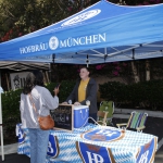hootenanny_055