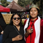 hootenanny_345