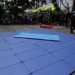 sumo-showdown_046