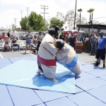 sumo-showdown_079