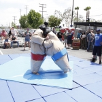 sumo-showdown_080