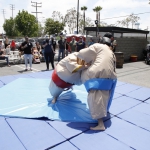 sumo-showdown_100