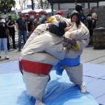 sumo-showdown_103