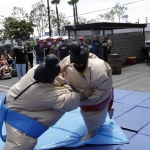 sumo-showdown_104
