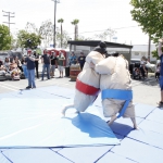 sumo-showdown_122