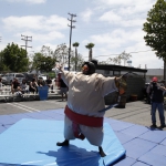 sumo-showdown_129