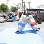 sumo-showdown_134