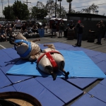 sumo-showdown_140