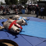 sumo-showdown_187