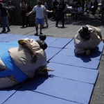 sumo-showdown_189