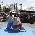 sumo-showdown_220