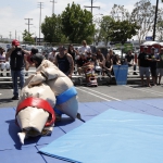 sumo-showdown_221