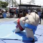 sumo-showdown_224