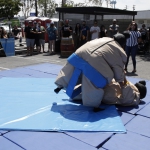 sumo-showdown_225