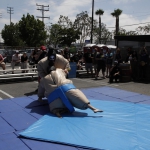 sumo-showdown_244