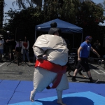 sumo-showdown_258