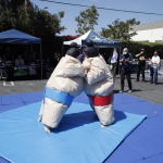 sumo-showdown_267