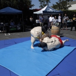 sumo-showdown_272