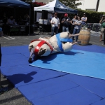 sumo-showdown_299