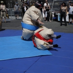 sumo-showdown_300