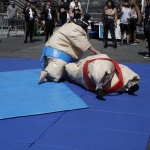 sumo-showdown_301