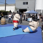 sumo-showdown_309