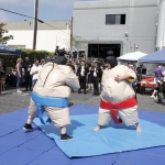 sumo-showdown_360