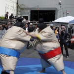 sumo-showdown_361