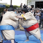 sumo-showdown_362