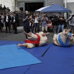 sumo-showdown_367