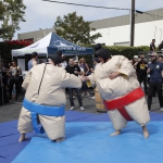 sumo-showdown_368