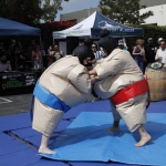 sumo-showdown_371