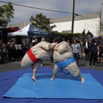 sumo-showdown_375