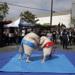 sumo-showdown_376