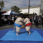 sumo-showdown_377