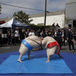 sumo-showdown_378