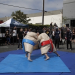 sumo-showdown_379