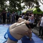 sumo-showdown_426