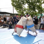 sumo-showdown_429