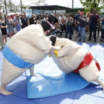 sumo-showdown_430