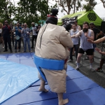sumo-showdown_434