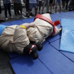 sumo-showdown_438