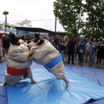 sumo-showdown_445