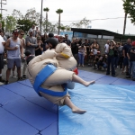 sumo-showdown_447