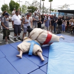 sumo-showdown_448